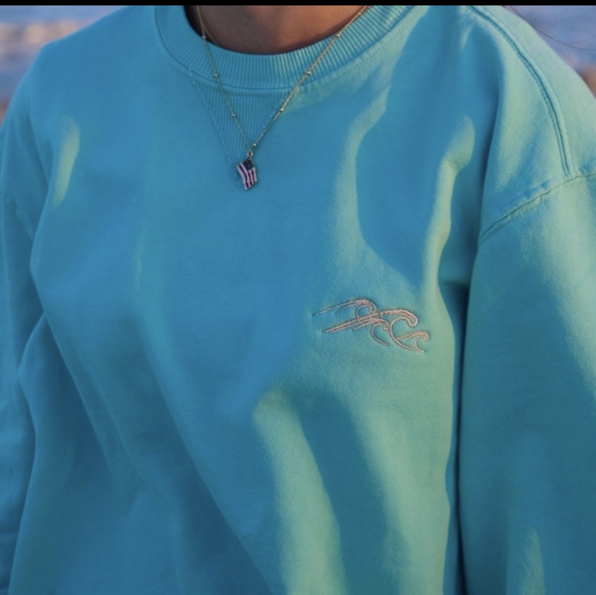 Close-up of a blue sweatshirt with a logo and necklace.