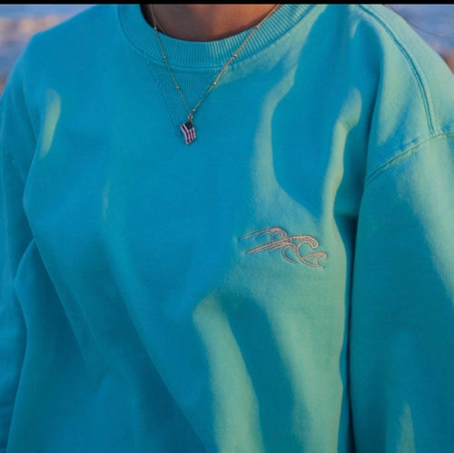 Close-up of a blue sweatshirt with a logo and necklace.
